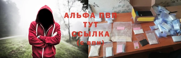 прущие грибы Нягань