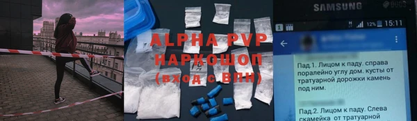 прущие грибы Нягань