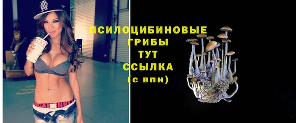 прущие грибы Нягань