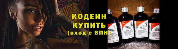 мяу мяу мука Няндома