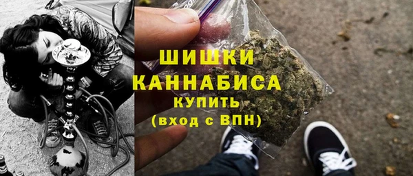 прущие грибы Нягань