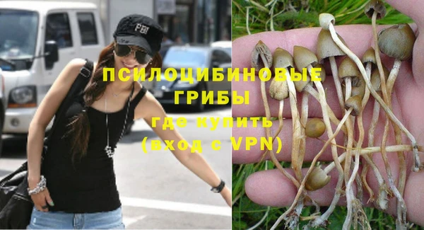 прущие грибы Нягань