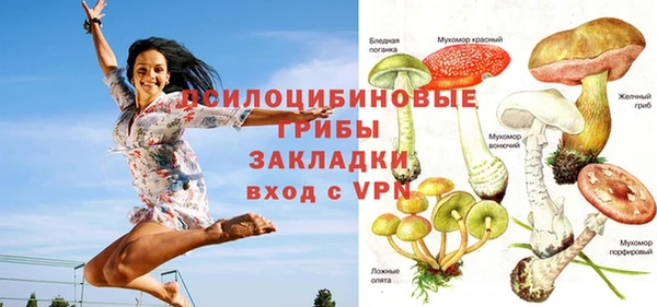 мяу мяу мука Няндома