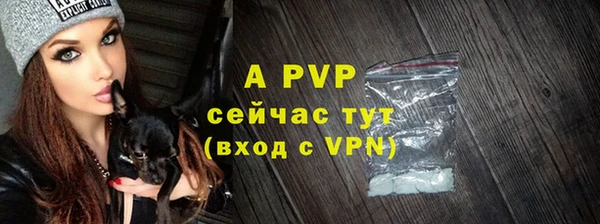 мяу мяу мука Няндома