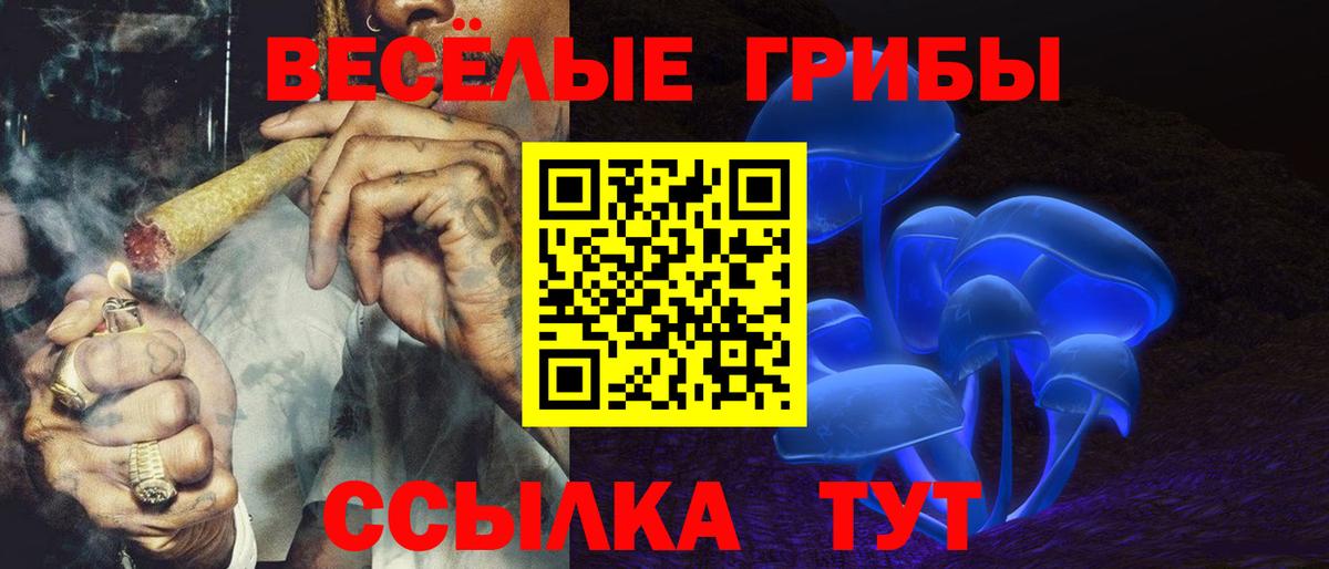 Кирово-Чепецк  Галлюциногенные грибы ЛСД  Вход с VPN 