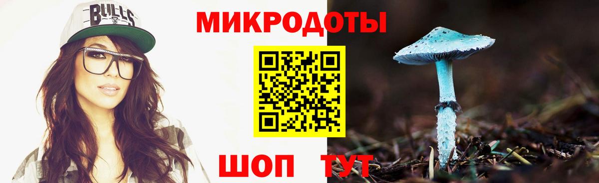 где купить   Кирово-Чепецк  Псилоцибиновые грибы Cubensis 